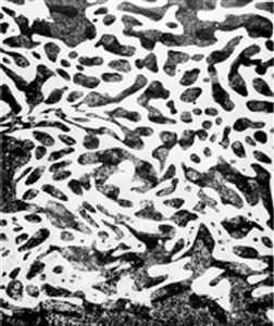 Image description is not available for 2012.101